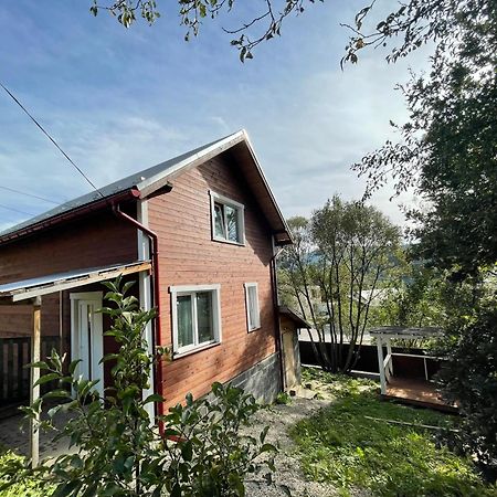 Карпатський Котедж Karpatian Cottage Vorokhta Eksteriør billede