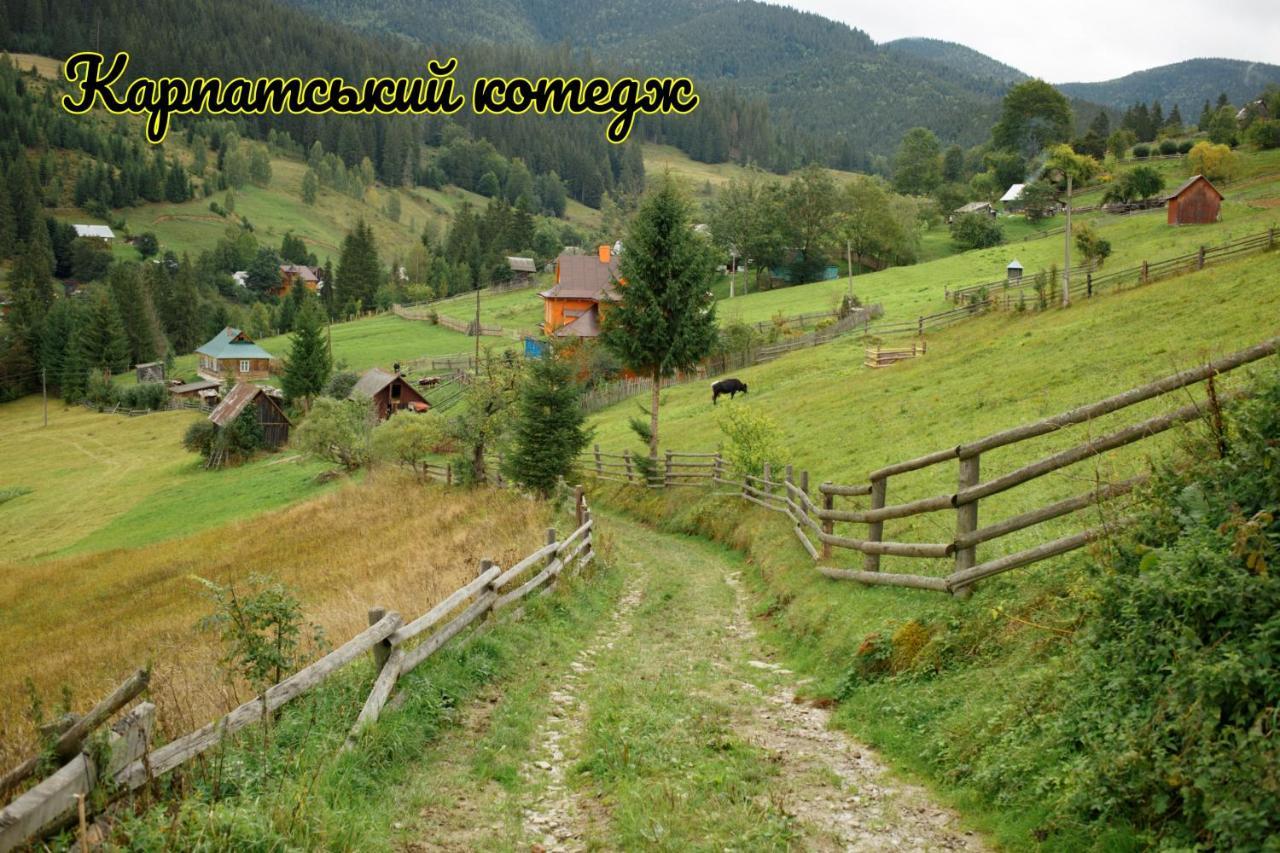 Карпатський Котедж Karpatian Cottage Vorokhta Eksteriør billede