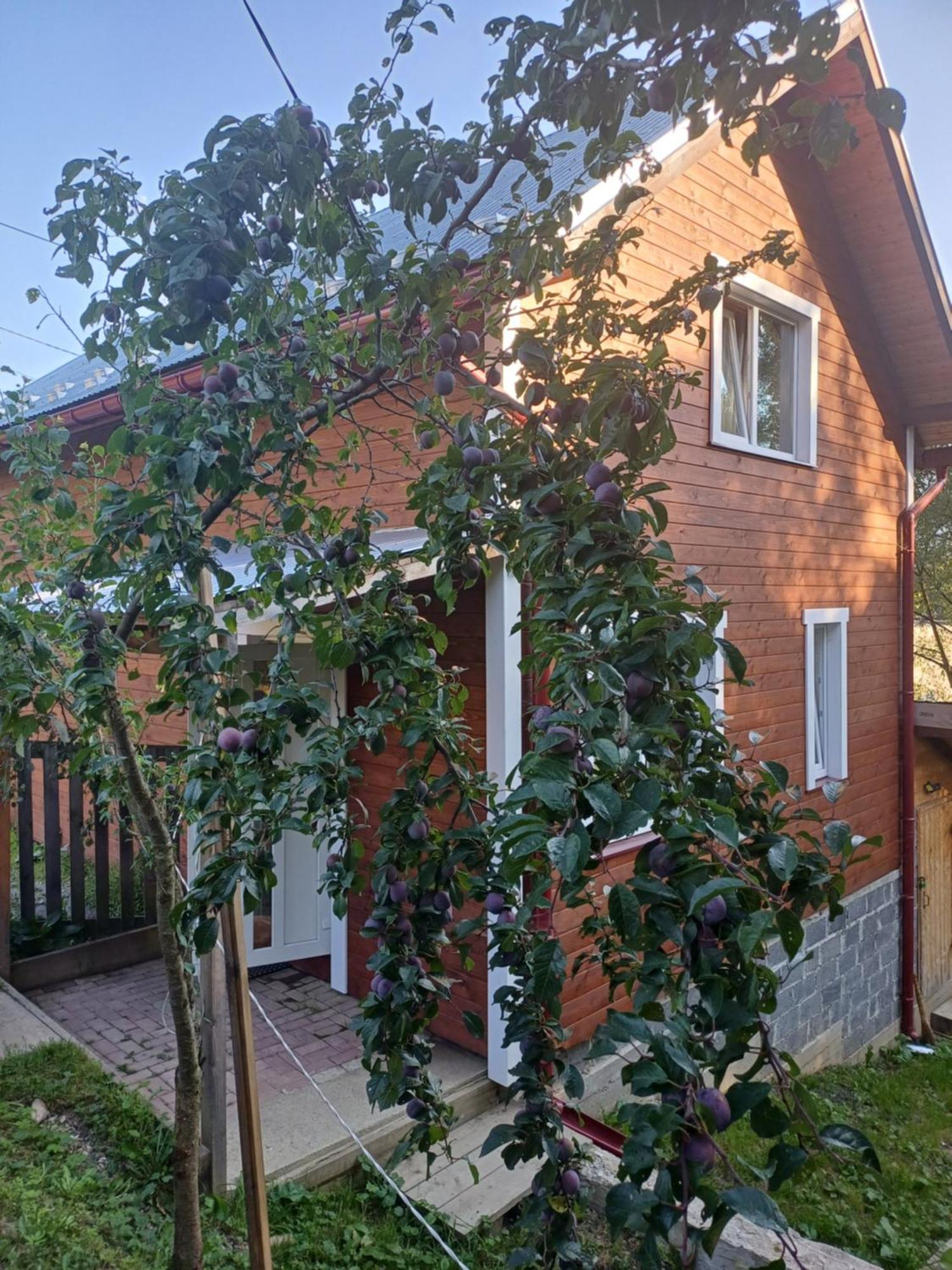 Карпатський Котедж Karpatian Cottage Vorokhta Eksteriør billede